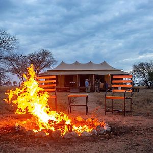 House Of Nature Serengeti